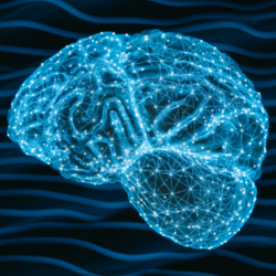 Dokumentacja dla branży szkoleniowej